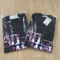 ヨネックス　ALL JAPAN 二枚セット