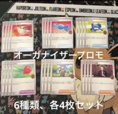 オーガナイザープロモ6種類各4枚セットのサムネイル