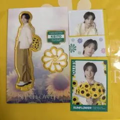 木村慧人 アクスタ フォトカ セット