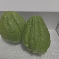 2025年最新】ハヤトウリの人気アイテム - メルカリ