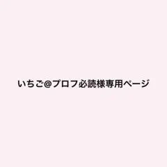 専用ページ