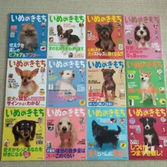 2025年最新】いぬのきもち12冊の人気アイテム - メルカリ