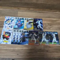 プロ野球チップスカード 8種11枚