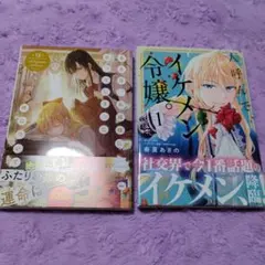 ある日、お姫様になってしまった件について 12＋人呼んでイケメン令嬢1