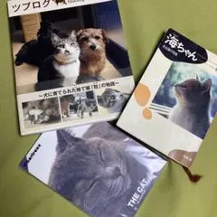 ツブログ : 犬に育てられたもと捨て猫「粒」の物語