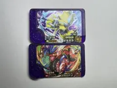 ポケモンフレンダ ゼラオラ コライドン セット