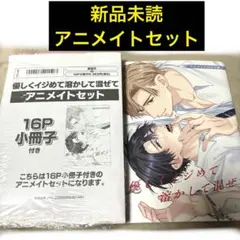 新品未読☆匿名配送☆優しくイジめて溶かして混ぜて アニメイト小冊子付 高比良りと