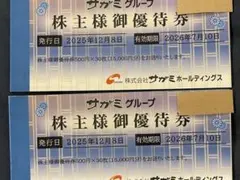 2026年最新】店名：サガミ レストラン・食事券の人気アイテム