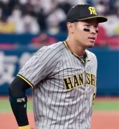 野球アイブラックシール