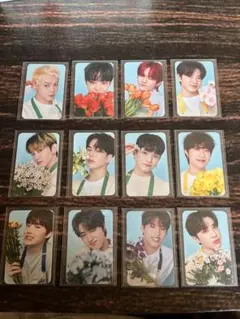 TREASURE blooming treasure トレカ 12枚③