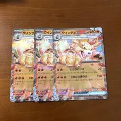 ウインディ　ex RR 3枚　②