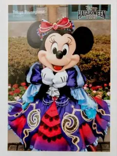 ディズニー ハロウィン 写真セット バラ ミニー（フレンジー）スペフォ
