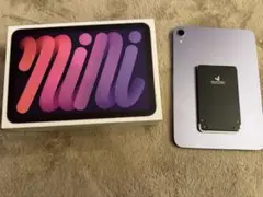 ipadmini7