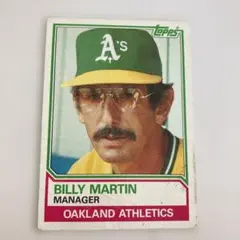 Item thumbnail for item 0d9f7fb4-da37-43c5-82c3-54e968c4b63c