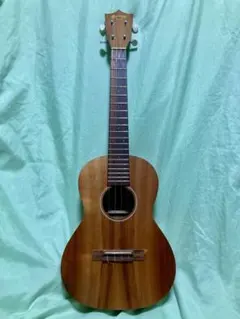 Item thumbnail for item 70bc975a-ed29-44f2-a0de-5d77016774c5