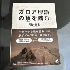 ガロア理論の頂を踏む
