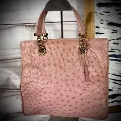 【稀少色‼️】DESMO オーストリッチ　ピンクハンドバッグ