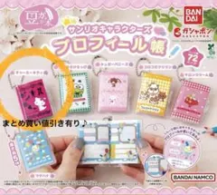 サンリオキャラクターズ　豆ガシャ本　プロフィール帳　チャーミーキティ