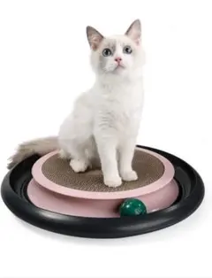 24 인치 캣 네일 스크래처 네일 폴리쉬 키티 캣 카드보드 고밀도