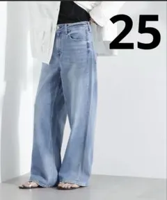 Healthy DENIM Pink Pepper 25 ワイドストレートデニムのサムネイル