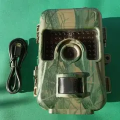 Item thumbnail for item 338bd13b-5771-4d81-bd6f-0bf0f0dc49be