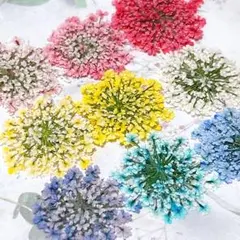 のんたん@即購入❌様 リクエスト 3点 まとめ商品