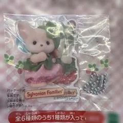 シルバニア 赤ちゃんアクリルキーチェーン いちご フェネック ユリー