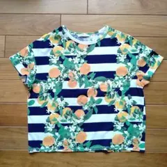 ZARA TRF オレンジ柄 ボーダー Tシャツ 半袖のサムネイル