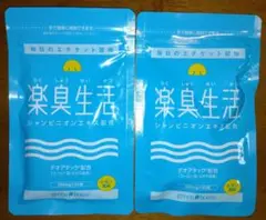 Item thumbnail for item af6bf092-8abf-47de-96d3-90fd83522c22