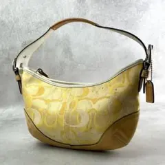 Coach Hobo Signature Shoulder Bag Y2K