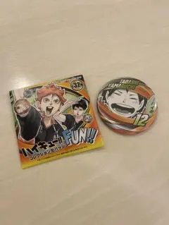 ハイキュー！ FUN！山口忠 コレクション缶バッジ 12