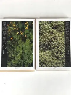 尾崎翠集成 上下巻セット