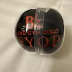 B'z LIVE-GYM 2025 FYOP リストバンド（黒）