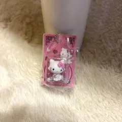 HELLO KITTY パッケージミニチュアコレクション サンリオ キティ