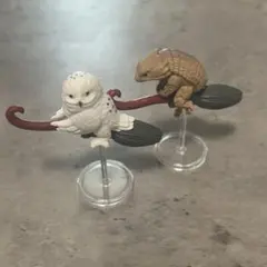 空飛ぶほうき フクロウ アルマジロトカゲ