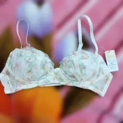 Item thumbnail for item a16747b6-7b2f-4e68-95cc-f75e16897e74