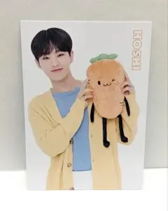 2026年最新】seventeen トレカ ホシの人気アイテム - メルカリ