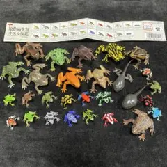 YUJIN 原色両生類カエル図鑑 26体セットプラス2