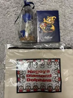 名古屋ダイヤモンドダルフィンズセット