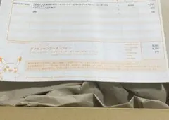 ポケモンカードゲーム MEGA プレミアムトレーナーボックス　シュリンク付