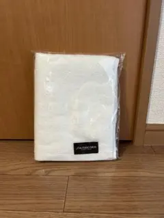 Item thumbnail for item 3c619531-4e96-49f9-8e08-2e193303db0a