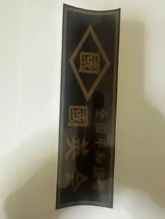 TAICHI × Kawasaki Wネーム プロテクター付きパーカーXL - メルカリ