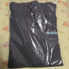 SnowMan ドームツアーグッズ　RAYS パーカー