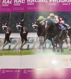 JRA 2025年11月23日(日)マイルチャンピオン レーシングプログラム3冊