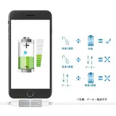 イヤホン変換アダプタ iOS10.3-11対応 (シルバー)