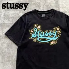 stussy ステューシー ビッグロゴ 筆記体 表記M 着用感L Tシャツ