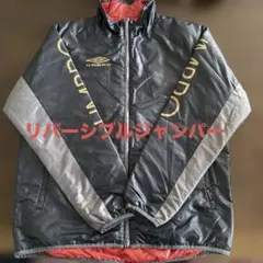 Item thumbnail for item 05c9099e-e436-4668-b471-da24fab3bb16