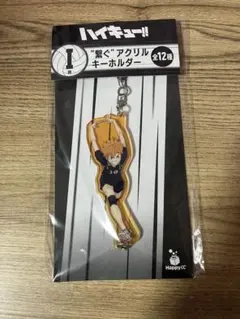 ハイキュー‼︎アクリルキーホルダー日向翔陽
