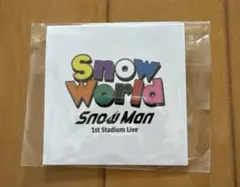 Snow Word 1st Stadium Live 台紙