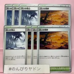 災いの荒野　クレイバースト　4枚　災いの雪山　スノーハザード　4枚　pcg801